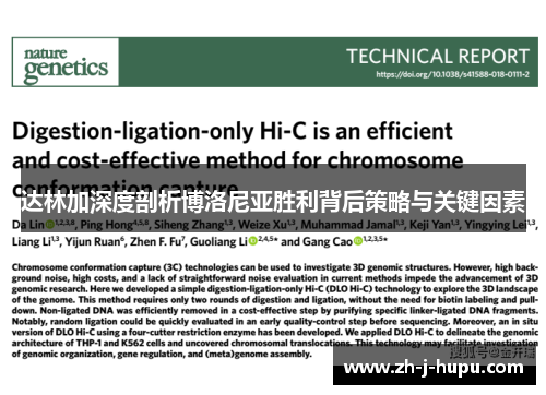 达林加深度剖析博洛尼亚胜利背后策略与关键因素