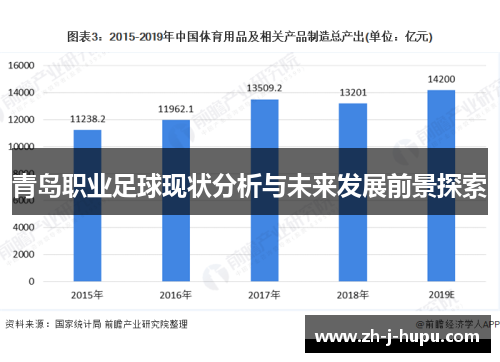 青岛职业足球现状分析与未来发展前景探索
