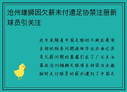 沧州雄狮因欠薪未付遭足协禁注册新球员引关注 沧州雄狮因欠薪未付遭足协禁注册新球员引关注